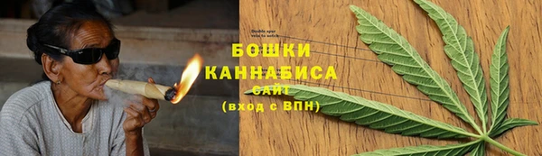 Альфа ПВП Бородино
