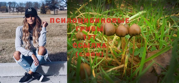 мескалин Бронницы