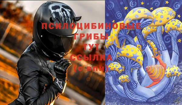 Альфа ПВП Бородино